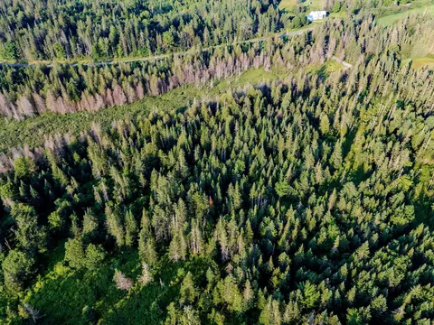 00 Watson Rd, Walden, VT 05843 photo 48