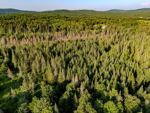 00 Watson Rd, Walden, VT 05843 photo 25