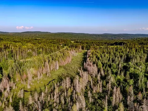 00 Watson Rd, Walden, VT 05843 photo 20