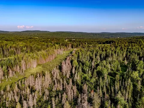 00 Watson Rd, Walden, VT 05843 photo 21