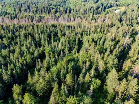 00 Watson Rd, Walden, VT 05843 photo 7