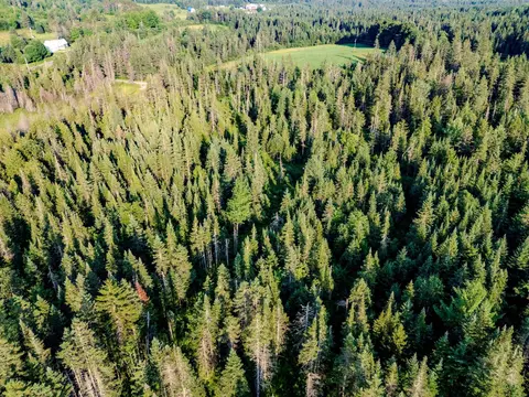 00 Watson Rd, Walden, VT 05843 photo 9