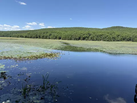View/Area - 1229 State Route 30s Rd, Hubbardton, VT 05735 photo 1 of 3