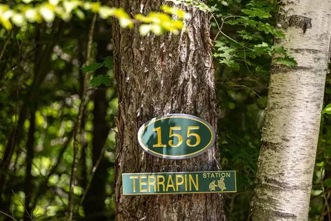 155 Pratt Bridge Rd, Jamaica, VT 05343
