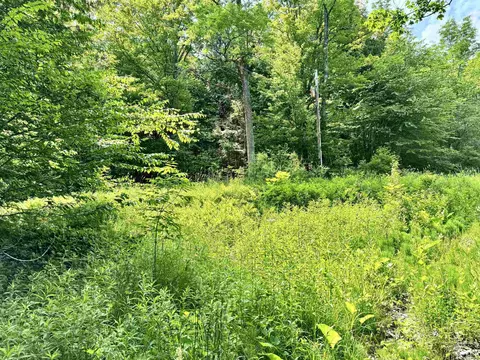 62 Foundry Rd, Tunbridge, VT 05077 photo 9