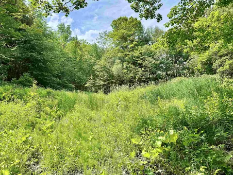 62 Foundry Rd, Tunbridge, VT 05077 photo 3