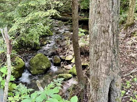 62 Foundry Rd, Tunbridge, VT 05077 photo 4