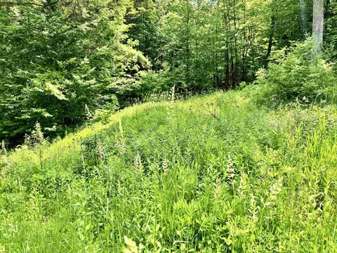 62 Foundry Rd, Tunbridge, VT 05077 photo 5
