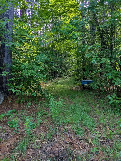 128 Brock Hill Rd, Grafton, NH 03240