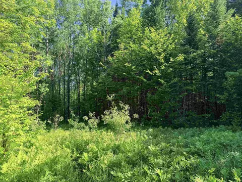 00 Tug Mountain Rd, Lunenburg, VT 05906 photo 3