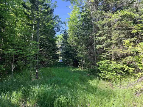 00 Tug Mountain Rd, Lunenburg, VT 05906 photo 5