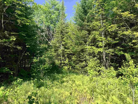 00 Tug Mountain Rd, Lunenburg, VT 05906 photo 4