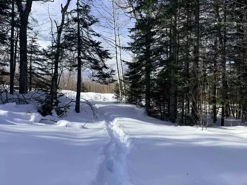 00 Tug Mountain Rd, Lunenburg, VT 05906 photo 15