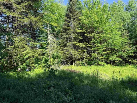 00 Tug Mountain Rd, Lunenburg, VT 05906 photo 10