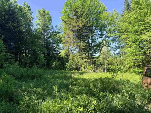 00 Tug Mountain Rd, Lunenburg, VT 05906 photo 6