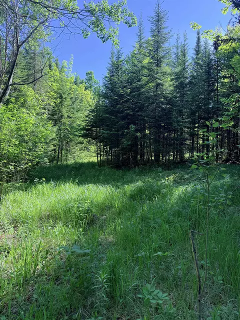 00 Tug Mountain Rd, Lunenburg, VT 05906 photo 7