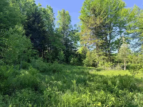 00 Tug Mountain Rd, Lunenburg, VT 05906 photo 8