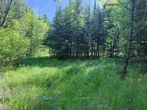 00 Tug Mountain Rd, Lunenburg, VT 05906