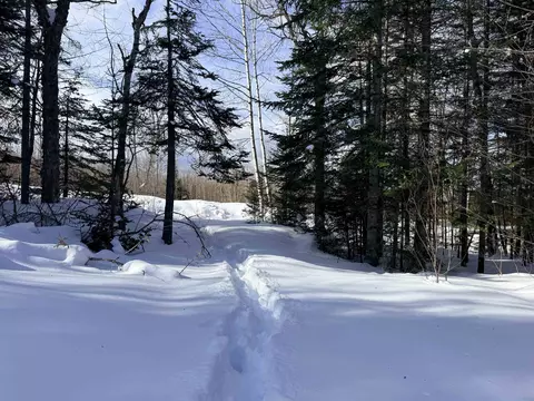 00 Tug Mountain Rd, Lunenburg, VT 05906 photo 15
