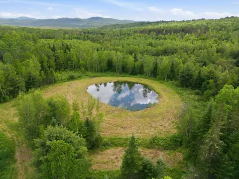 View/Area - 2717 Oregon Rd, Lunenburg, VT 05906 photo 4 of 7
