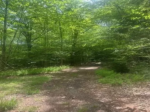 115 Deer Path Ln, Bridgewater, NH 03222