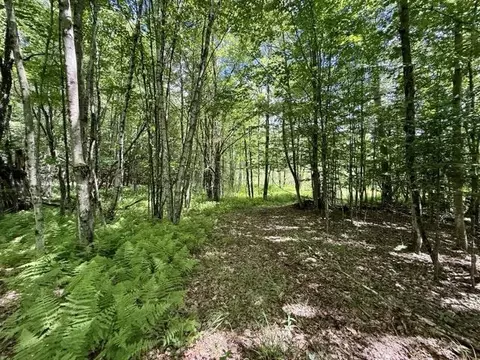 00 Battle Row Rd, Hyde Park, VT 05656 photo 8