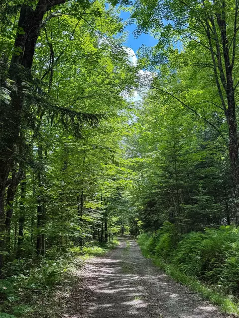 273 Guyette Rd, Lowell, VT 05847