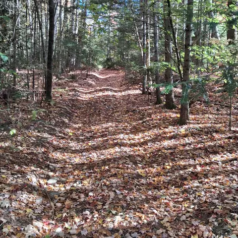 lot15 37 Acre Spruce Ln #LOT 15, Eden, VT 05652