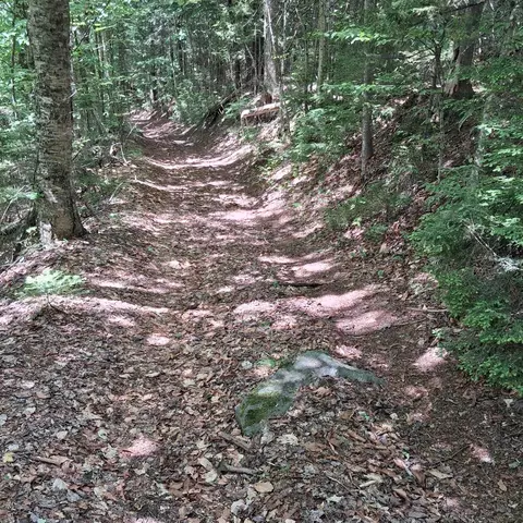 lot15 37 Acre Spruce Ln #LOT 15, Eden, VT 05652