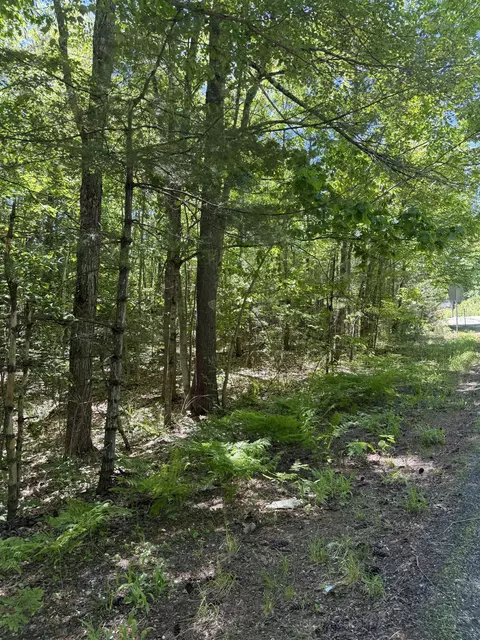 lot33 34 35 Washington St, Barrington, NH 03825