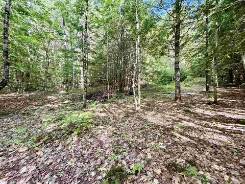 Nh Route 175, Campton, NH 03223 photo 7