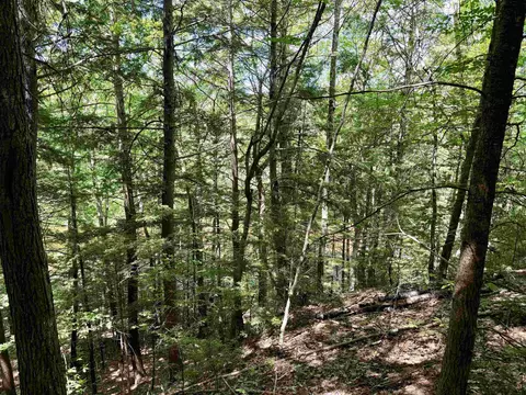 Nh Route 175, Campton, NH 03223 photo 14