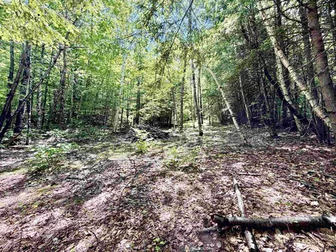 Nh Route 175, Campton, NH 03223 photo 15