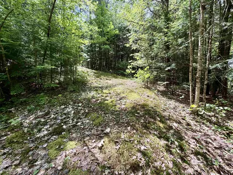 Nh Route 175, Campton, NH 03223 photo 13