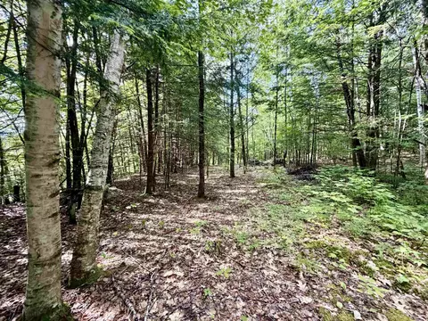 Nh Route 175, Campton, NH 03223 photo 8