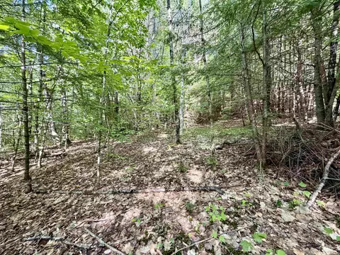 Nh Route 175, Campton, NH 03223 photo 9