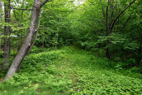 Exterior - 56 Shattarack Rd #D6, Stratton, VT 05360 photo 7 of 8