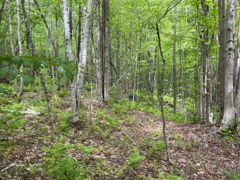 Dole School House Road, Washington, NH 03280