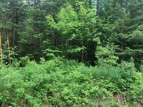 tbd Griffin Rd, Stewartstown, NH 03576