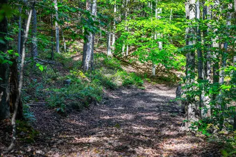 00 Granite Ledge, Pomfret, VT 05059 photo 3
