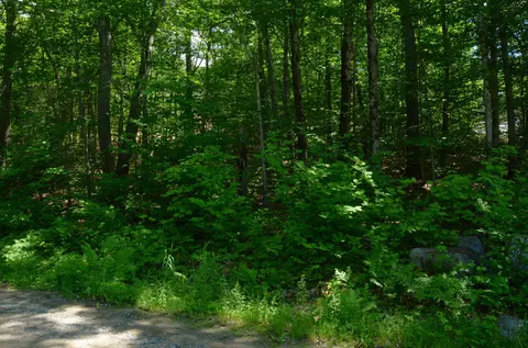 Scott Drive LOT 112, Alton, NH 03810