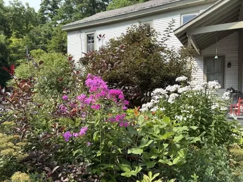 Exterior - 464 E Main St, Middlebury, VT 05753 photo 12 of 13