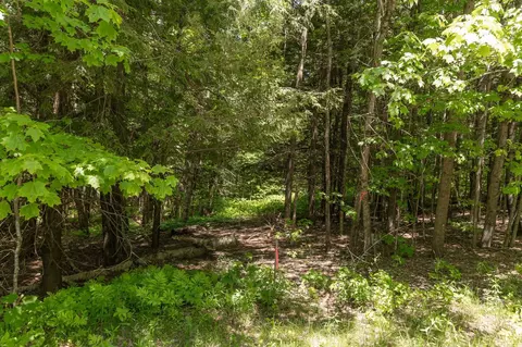 1243 N Hollow Rd, Stowe, VT 05672