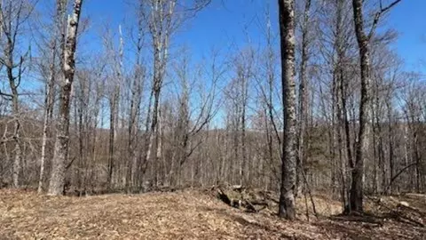 1376 Kingdom Rd, Plymouth, VT 05056