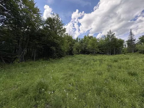 208 Drake Place Rd, Sheffield, VT 06359