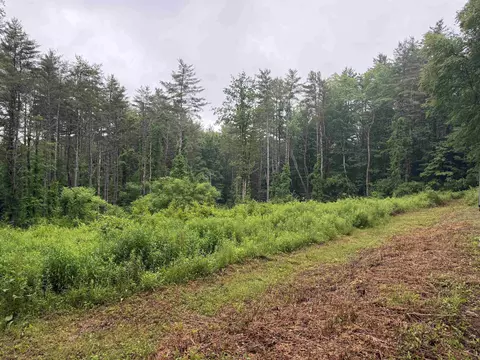 63 West Hl, Putney, VT 05346