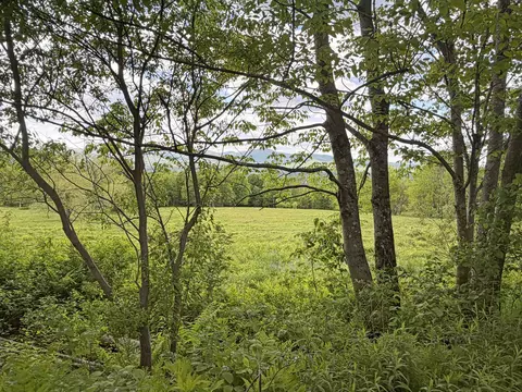 877 Grow Rd, Johnson, VT 05656 photo 20