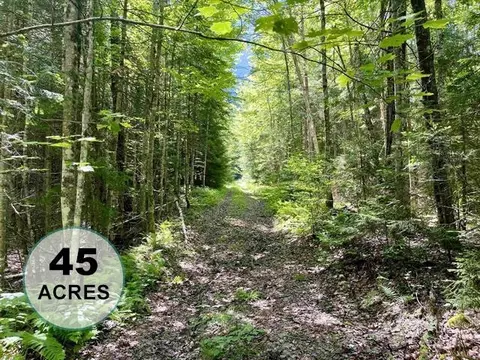 00 Georges Blvd, East Haven, VT 05837