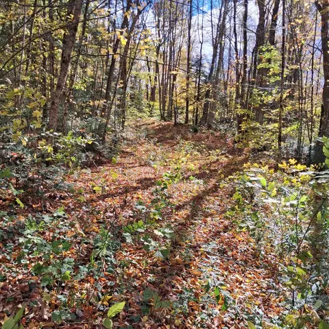 0000 Oak Ln, Eden, VT 05652