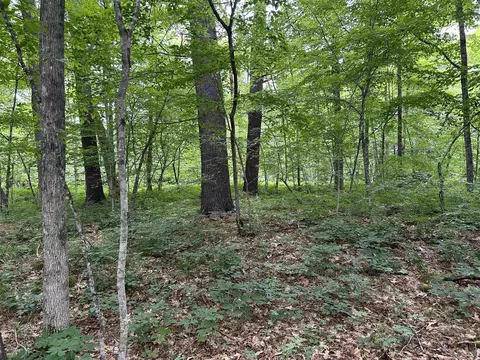 4 Cutler Rd, Plainfield, NH 03781 photo 31